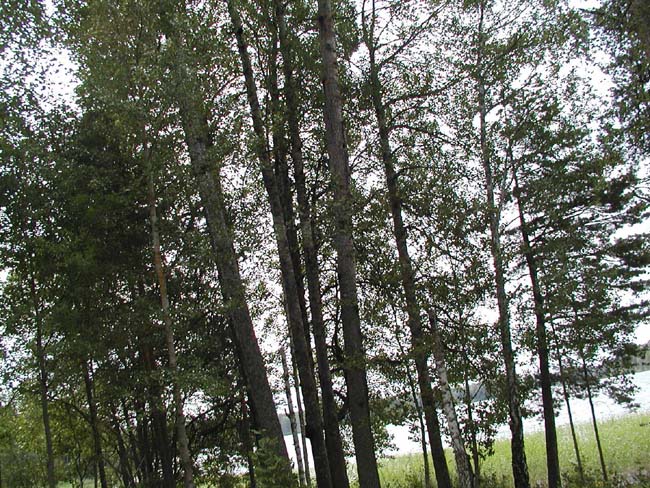 P7090064