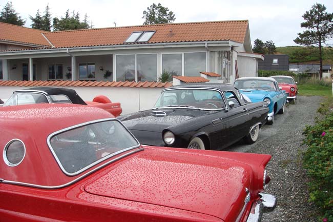 T-bird træf i Ebeltoft 070707 055