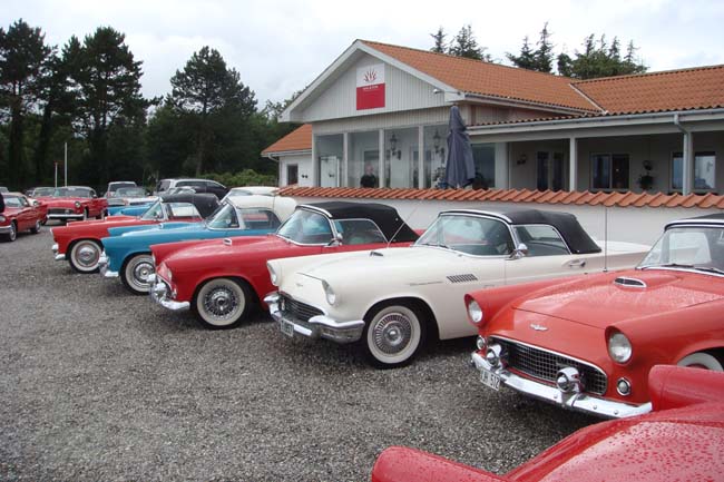 T-bird træf i Ebeltoft 070707 056