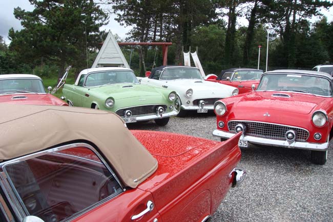 T-bird træf i Ebeltoft 070707 062