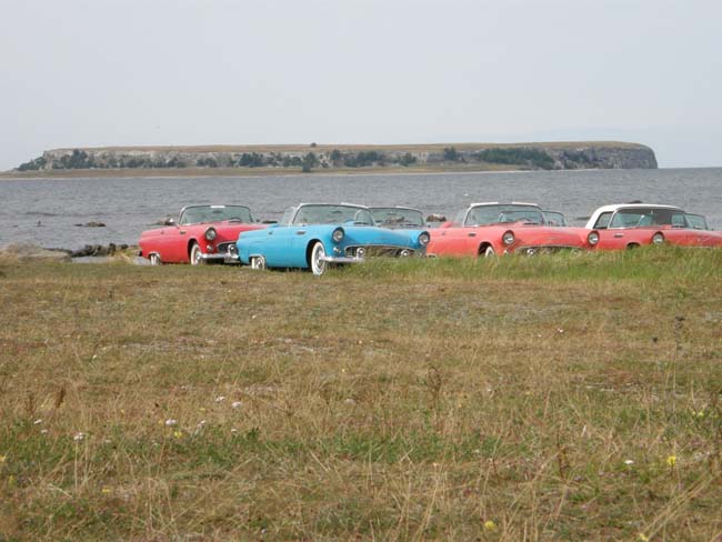 P8150057
