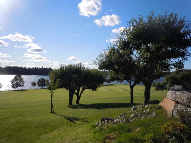 DSCN1247