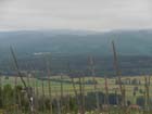 DSCN0331
