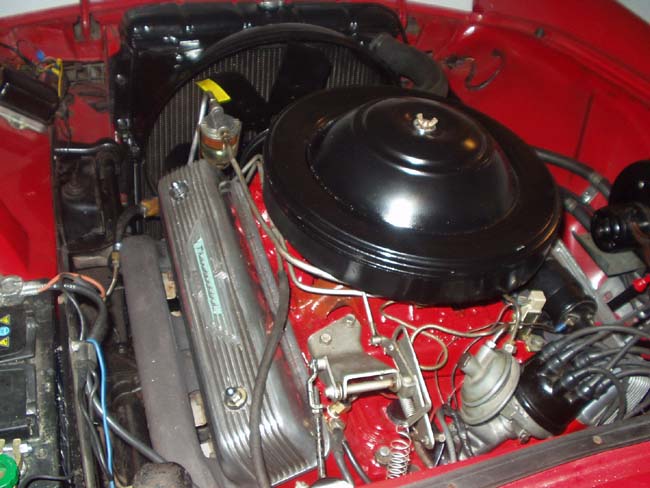 T19