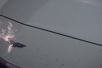 IMG_5694