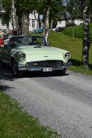 IMG_5687,1