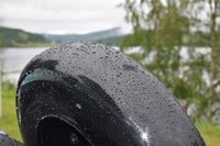IMG_5694