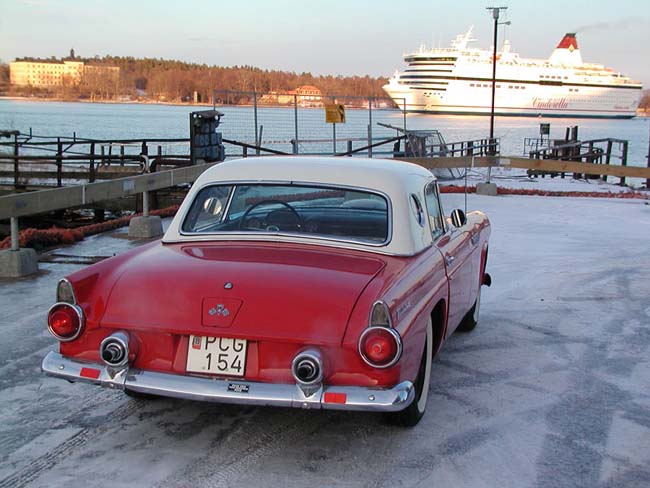 WinterBird2