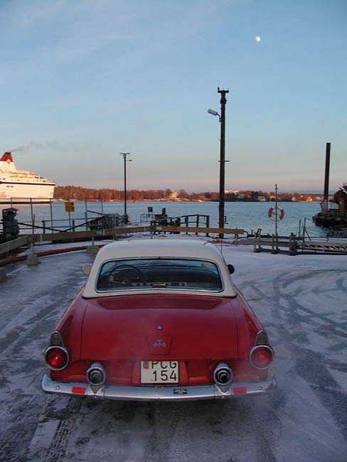 WinterBird4