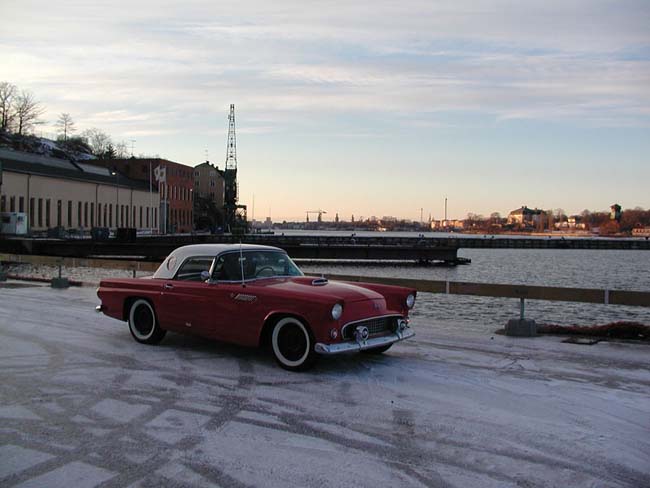 WinterBird5