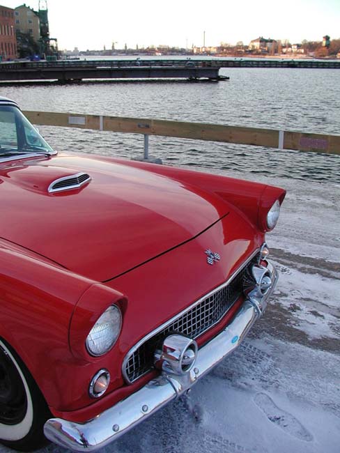 WinterBird6