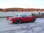 WinterBird1