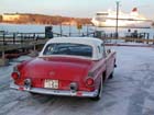 WinterBird2