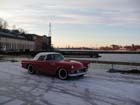WinterBird5