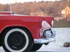 WinterBird8